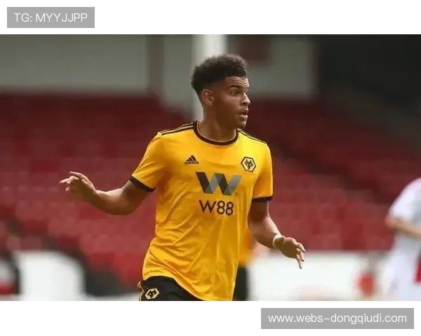 诺丁汉森林轻取马尔默，吉布斯-怀特中场表现关键