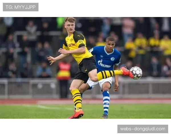 官方:沙尔克04后卫马利克-蒂奥因膝伤赛季报销 官方:沙尔克04后卫马利克-蒂奥因膝伤赛季报销