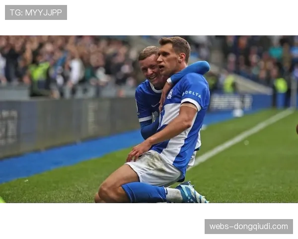 战报：伊普斯维奇客场逼平布莱顿，升班马展现顽强斗志。