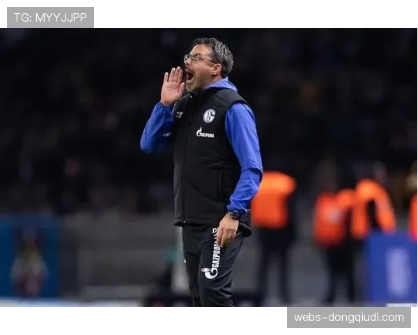 德甲引入新型草坪监测系统，实时追踪球员负荷与受伤风险